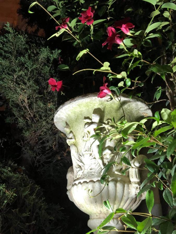 Chateau De Murviel エクステリア 写真