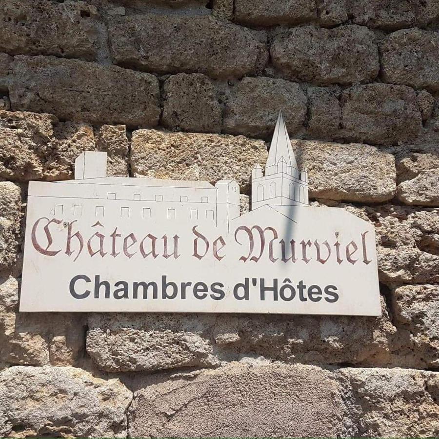 Chateau De Murviel エクステリア 写真